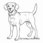 Beautiful Beagle Coloring Pages 4