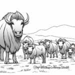 Beautiful Bison Herd Coloring Sheets 1