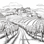 Beautiful Italian Vineyard Coloring Pages 1