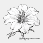 Beautiful Oriental Lily Coloring Pages 2