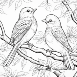 Beautiful Rainforest Birds Coloring Pages 1