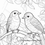 Beautiful Rainforest Birds Coloring Pages 2
