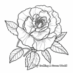 Beautiful Wild Rose Coloring Pages 3