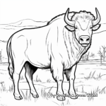 Bison in Their Natural Habitat Coloring Pages 2