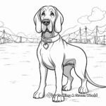 Bloodhound Dog Show Coloring Pages 1