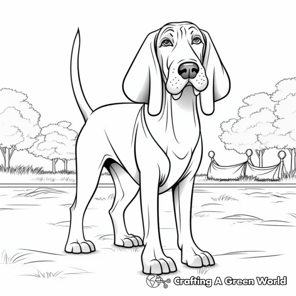 Bloodhound Coloring Pages - Free &amp; Printable!