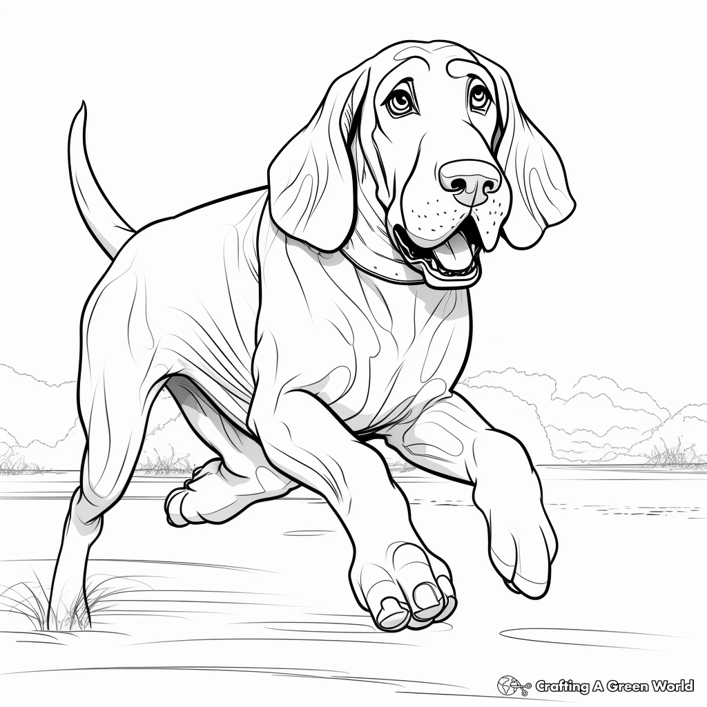 Bloodhound Coloring Pages Free Printable 