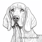 Bloodhound Portrait Coloring Pages 1