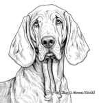 Bloodhound Portrait Coloring Pages 2