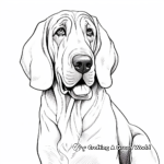 Bloodhound Portrait Coloring Pages 3