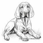 Bloodhound Portrait Coloring Pages 4
