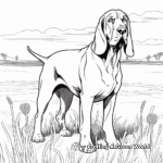 Bloodhounds in Nature Coloring Pages 4