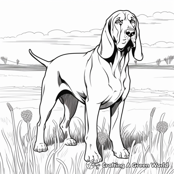 Bloodhound Coloring Pages - Free &amp; Printable!