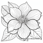 Blooming Poinsettia Coloring Pages for Adults 4