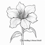 Bold Red Lily Coloring Sheets 1