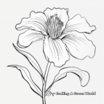 Bold Red Lily Coloring Sheets 4