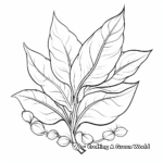 Botanically Accurate Leaf Coloring Pages 2