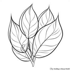 Botanically Accurate Leaf Coloring Pages 4