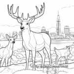 Canadian Wildlife Coloring Pages 2