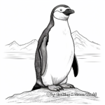 Charming Chinstrap Penguin Coloring Pages 1