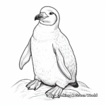 Charming Chinstrap Penguin Coloring Pages 3