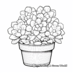 Charming Dudleya Plant Coloring Pages 2