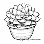 Charming Dudleya Plant Coloring Pages 4