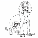 Classic Bloodhound Poses Coloring Pages 2