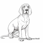 Classic Bloodhound Poses Coloring Pages 3