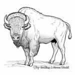 Classic North American Bison Coloring Pages 2