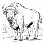 Classic North American Bison Coloring Pages 4