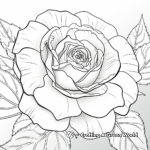Close-Up Rose Petal Coloring Sheets 3