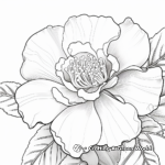 Close-Up Rose Petal Coloring Sheets 4