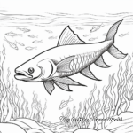 Colorful Shoal of Barracuda Coloring Page 3