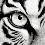 Coloring Pages Featuring Close-Up of Tigers’ Eyes 1