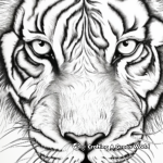 Coloring Pages Featuring Close-Up of Tigers’ Eyes 4