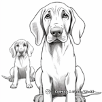 Cute Bloodhound Faces Coloring Pages 2