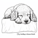 Cute Sleeping Cocker Spaniel Coloring Pages 1