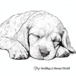 Cute Sleeping Cocker Spaniel Coloring Pages 2