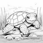 Deep Relaxation with Tortoise Coloring Pages 2