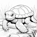 Deep Relaxation with Tortoise Coloring Pages 3