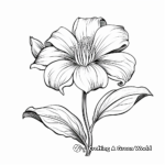 Delicate Wood Lily Coloring Pages 1