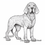 Detailed Adult Bloodhound Coloring Pages 2