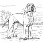 Detailed Adult Bloodhound Coloring Pages 3