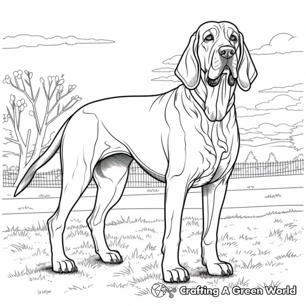 Bloodhound Coloring Pages - Free &amp; Printable!