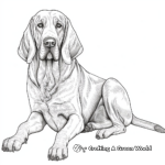 Detailed Adult Bloodhound Coloring Pages 4