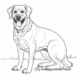 Detailed Adult Rottweiler Coloring Pages 1