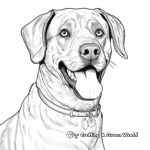Detailed Adult Rottweiler Coloring Pages 2
