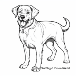 Detailed Adult Rottweiler Coloring Pages 3