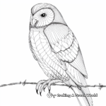 Detailed Barn Owl Perching Coloring Pages 1